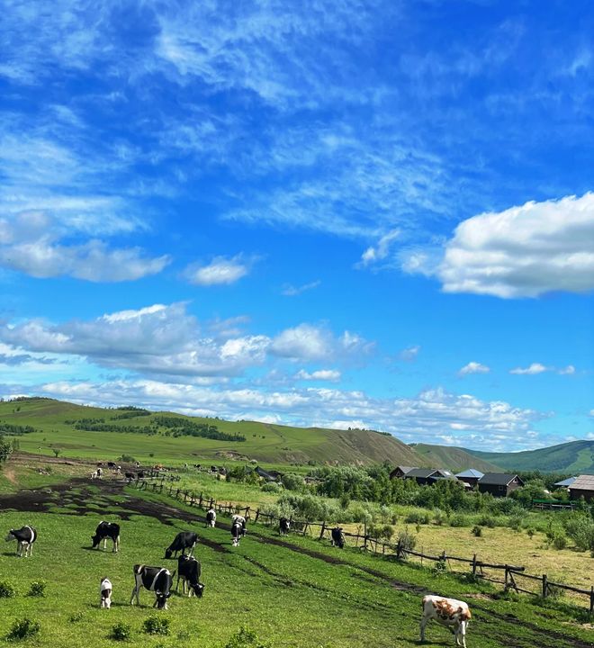 伦贝尔5天4晚定制游+跟当地小团凯发去呼